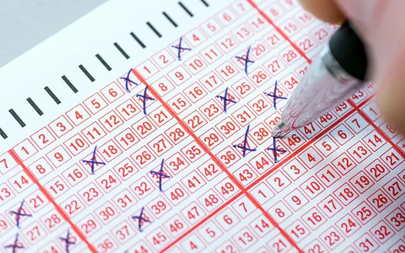 nagaland lottery sambad​ at Kerala Lottery result body image