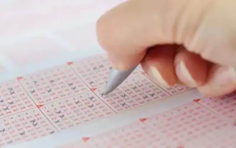 nagaland lottery sambad​ at Kerala Lottery result featured image